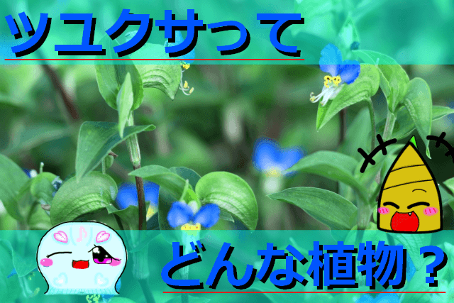 Thumbnail of post image 069